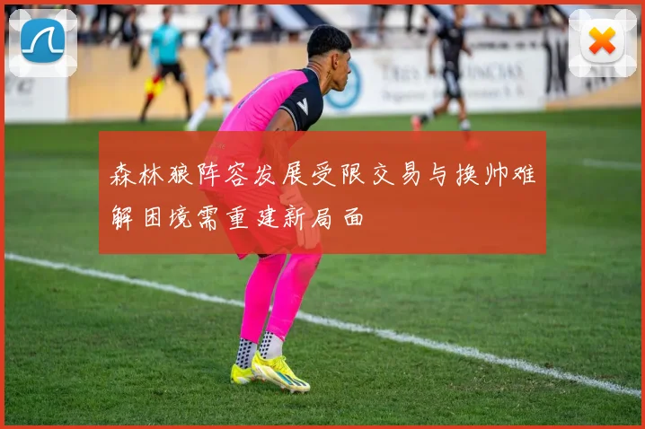 森林狼阵容发展受限交易与换帅难解困境需重建新局面