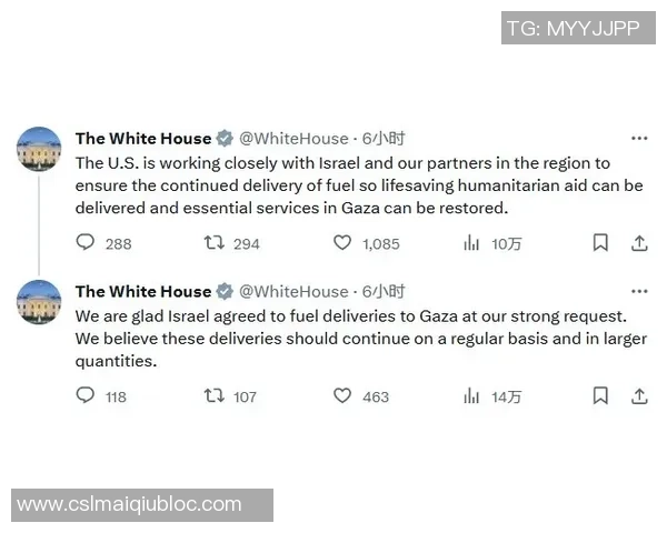 巴斯克代表队大胜巴勒斯坦门票收入全数捐赠人道主义组织