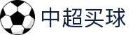 中超买球(中国)官方网站-CSLBuyBalls